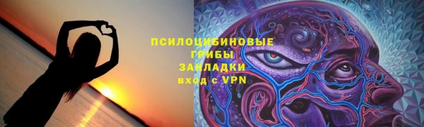 ПСИЛОЦИБИНОВЫЕ ГРИБЫ Вязники