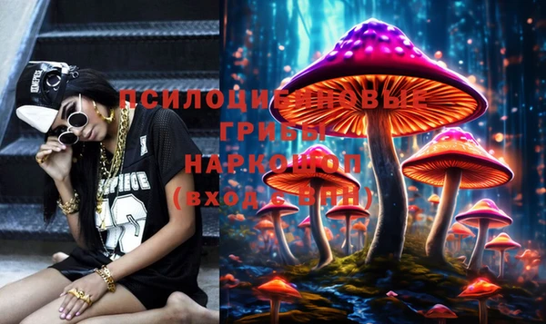 mix Новозыбков