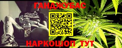 крисы Аргун