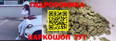 крисы Аргун