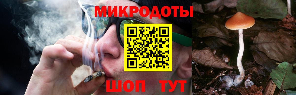 Асино  где найти   Псилоцибиновые грибы Psilocybe  Вход с VPN  Галлюциногенные грибы Cubensis 