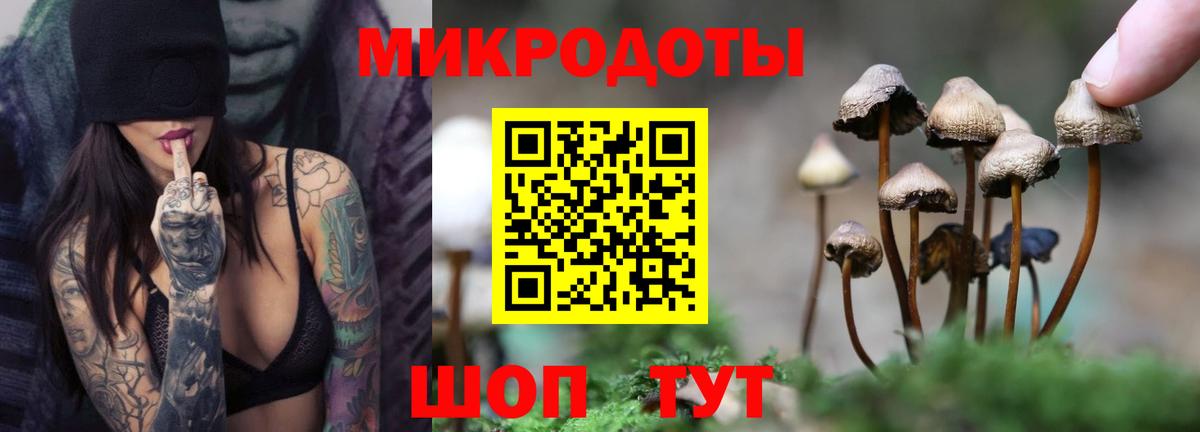 Псилоцибиновые грибы MAGIC MUSHROOMS Асино