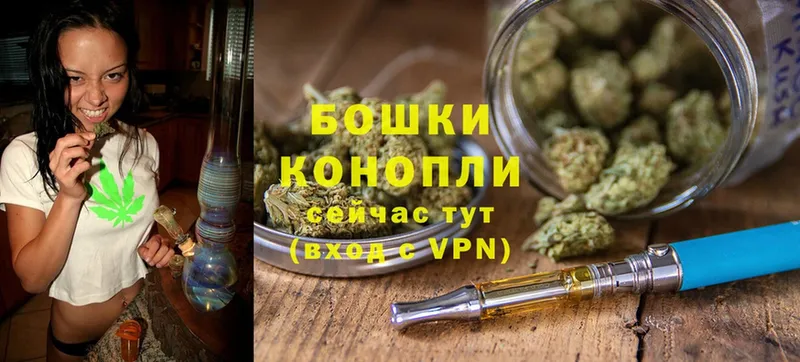 Бошки марихуана Amnesia  продажа наркотиков  Асино 