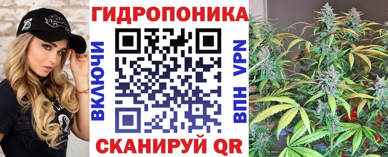 Бошки Шишки THC 21% где купить Асино