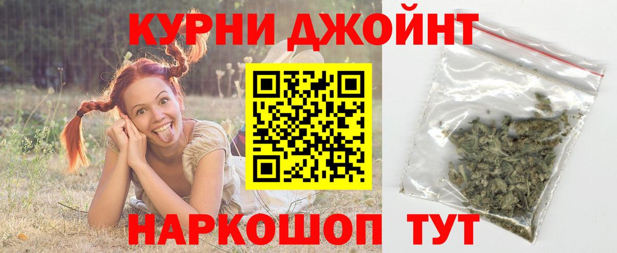 Канабис ГИДРОПОН Асино